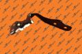 M3 Hood Hinge Asy, Rh | Tesla Part 1098793-00-D