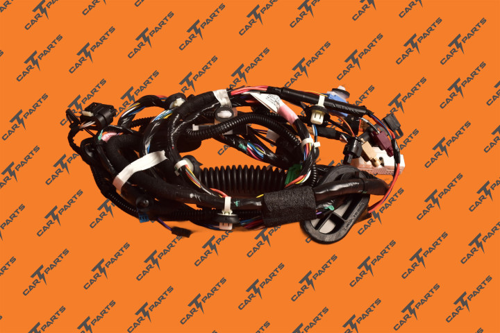 Asy,Harn,Fr Lh Door,M3,Lhd,Prem M3 | Repuesto Tesla 1067957-00-F