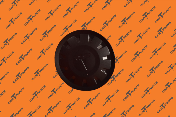 Pedestrian Warning Speaker | Tesla Part 1299965-00-A