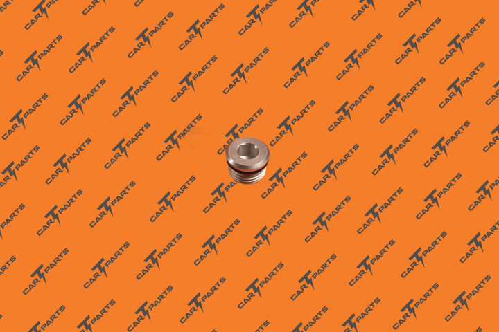 FILL/DRAIN PLUG