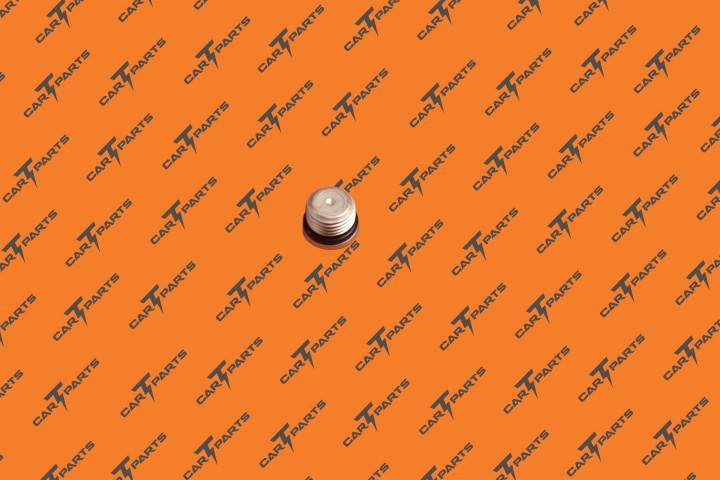FILL/DRAIN PLUG