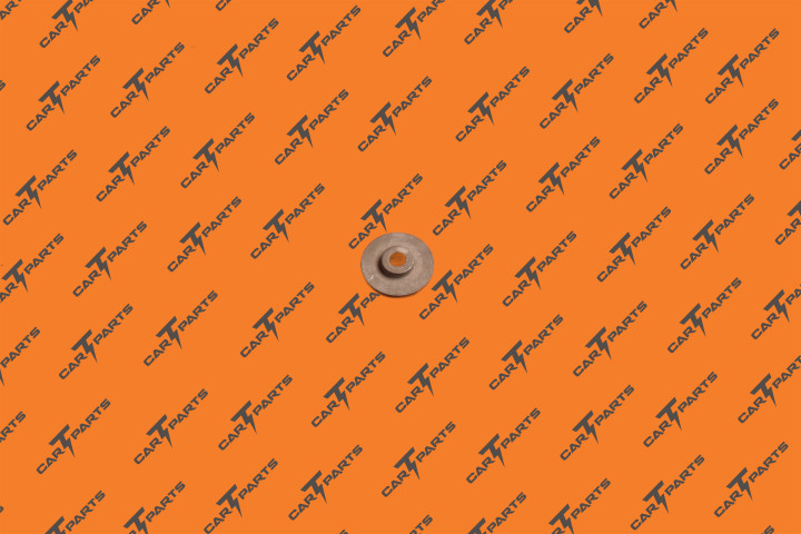 Air Susp Compressor Spring Washer | Tesla Part 1027917-00-A
