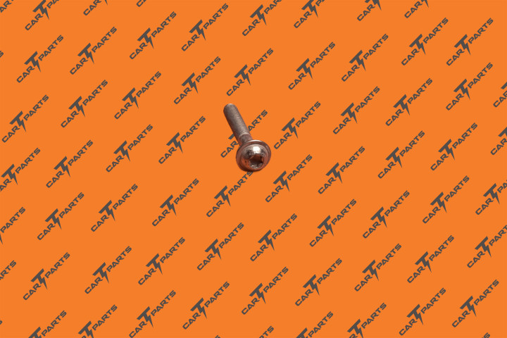 Bolt Pf M6X40 Pc109 Ecofix | Tesla Part 1037743-00-A