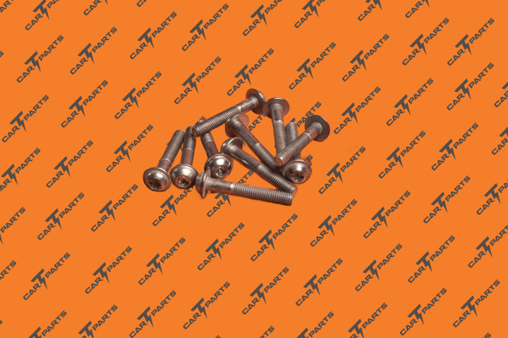 Bolt Pf M6X40 Pc109 Ecofix | Tesla Part 1037743-00-A