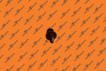 Push Pull Rivet,8Mm,5-7 Grp,Nylon,Blk. | Tesla Part 1128034-00-B