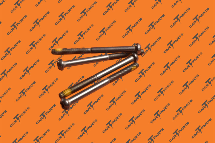Scr,M6-1X75,6-Lobe Ph,Stl,Zn-Ni,Patch | Tesla Part 1004374-00-B