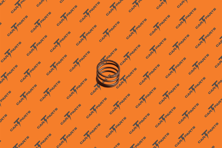 Air Susp Compressor Spring | Tesla Part 1027914-00-A