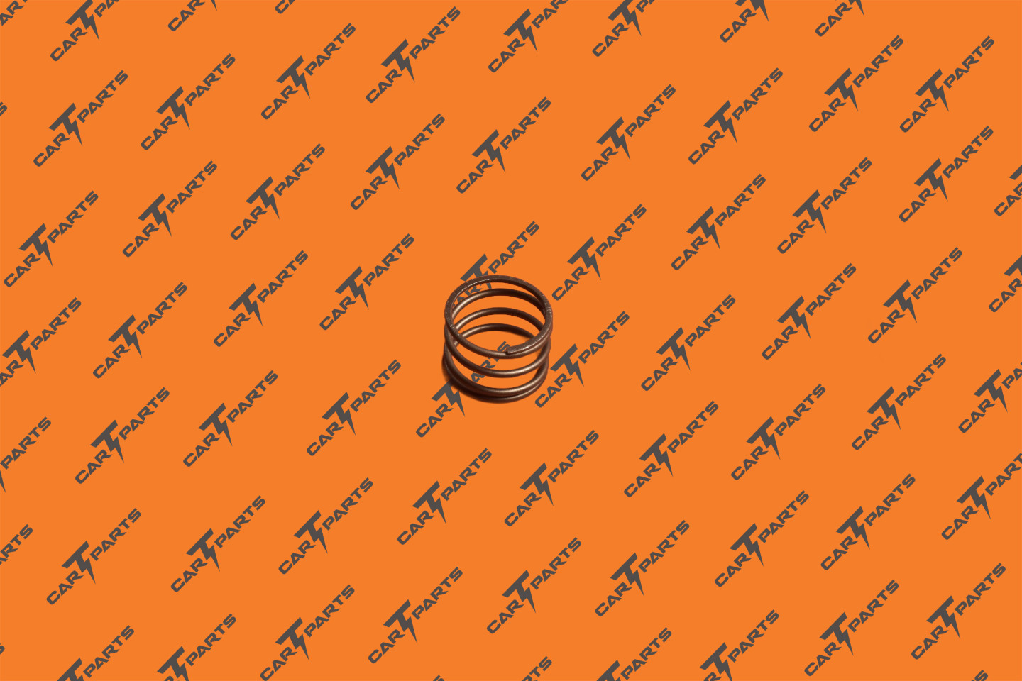 Air Susp Compressor Spring | Tesla Part 1027914-00-A