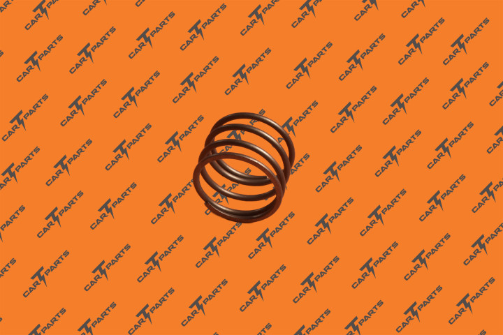 Air Susp Compressor Spring | Tesla Part 1027914-00-A