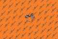 SCREW - M5-1.8X14