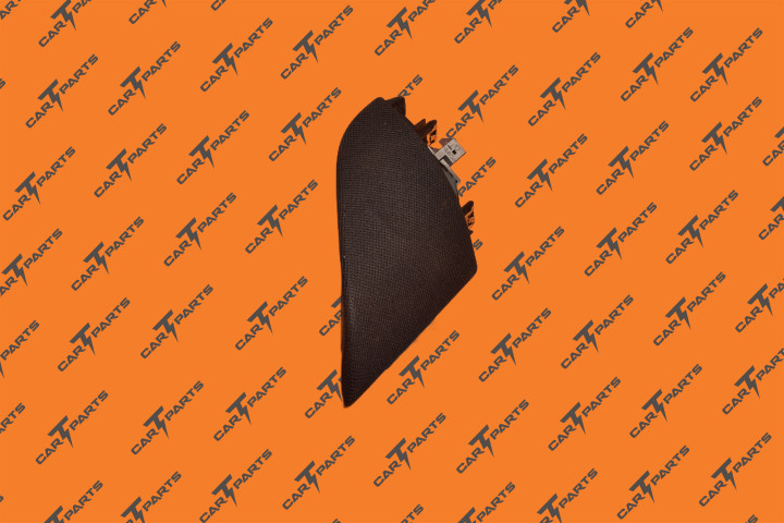 M3, Door Tweeter Asy, Front Lh, Prem | Tesla Part 1095657-00-F 1095657-00-E