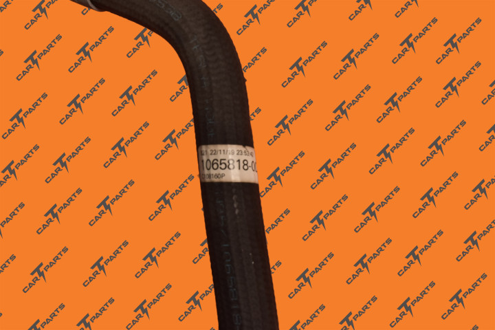 Hose (Batt), 4Wvlv To Pump1, Ms2 | Tesla Part 1065818-00-C