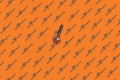 Bolt - Hf - M6-1.0X45 - [88] - G0309 - Sd | Tesla Part 1530060-00-A