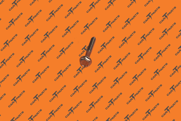 Bolt - Hf - M6-1.0X45 - [88] - G0309 - Sd | Tesla Part 1530060-00-A