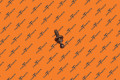Ball Stud&Wshr M8X20 Pc109 | Tesla Part 1047179-00-A