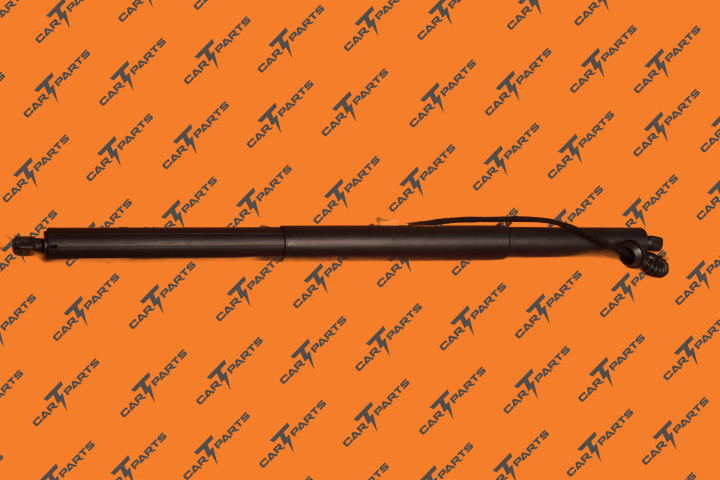 Liftgate Power Strut Lh | Tesla Part 1065664-00-B 1065664-00-C