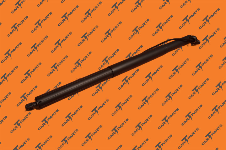 Liftgate Power Strut Lh | Tesla Part 1065664-00-B 1065664-00-C