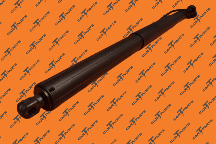 Liftgate Power Strut Lh | Tesla Part 1065664-00-B 1065664-00-C