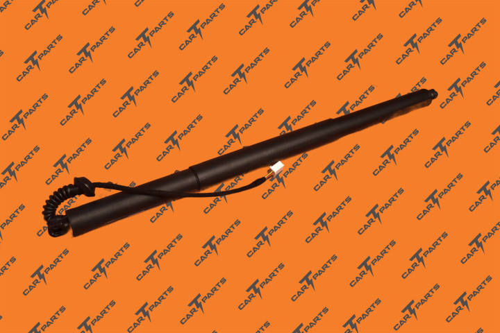 Liftgate Power Strut Lh | Tesla Part 1065664-00-B 1065664-00-C