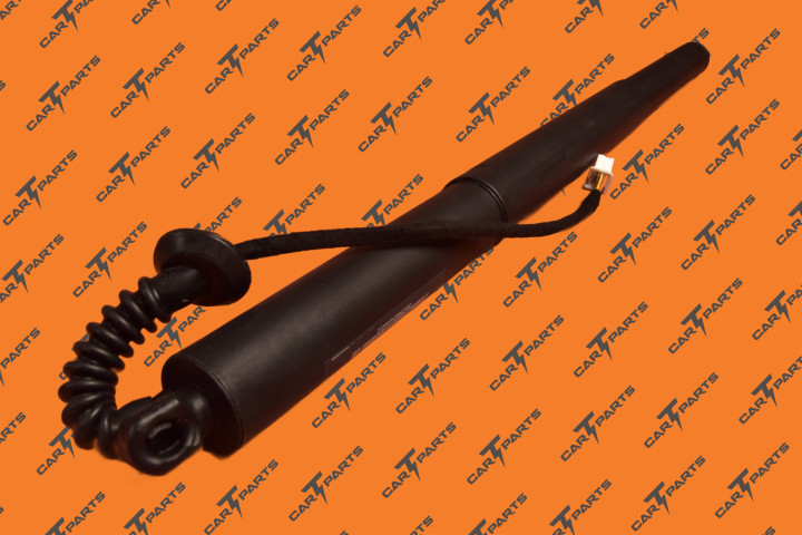 Liftgate Power Strut Lh | Tesla Part 1065664-00-B 1065664-00-C