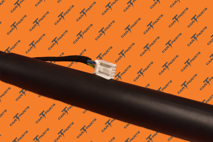 Liftgate Power Strut Lh | Tesla Part 1065664-00-B 1065664-00-C