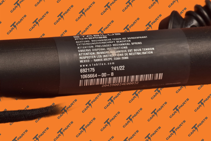 Liftgate Power Strut Lh | Tesla Part 1065664-00-B 1065664-00-C