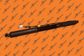 Rr Door Em Strut - Primary Left Hand Frt/Right Hand Rr | Tesla Part 1063440-01-F