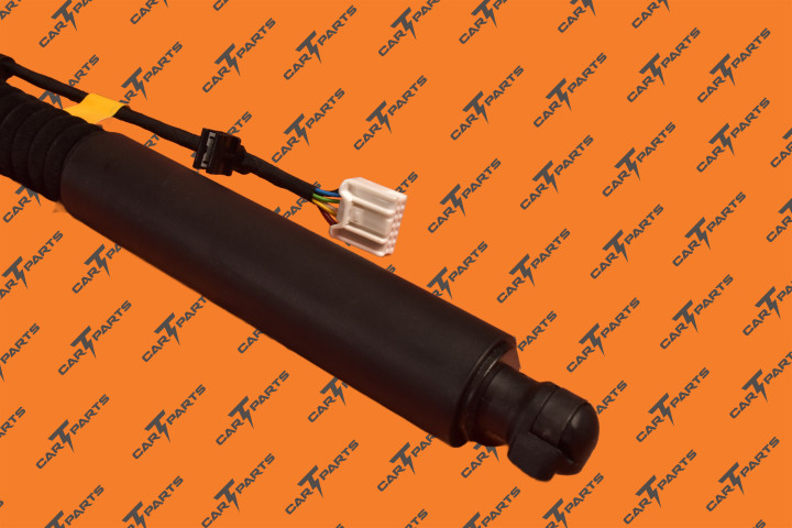 Rr Door Em Strut - Primary Left Hand Frt/Right Hand Rr | Tesla Part 1063440-01-F