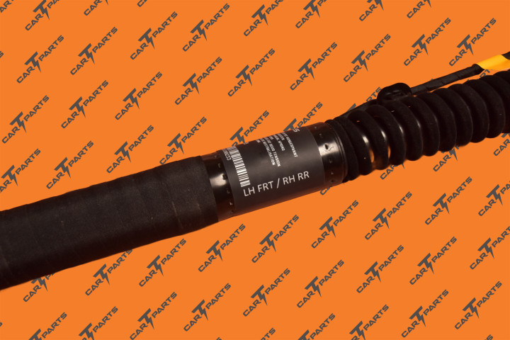 Rr Door Em Strut - Primary Left Hand Frt/Right Hand Rr | Tesla Part 1063440-01-F