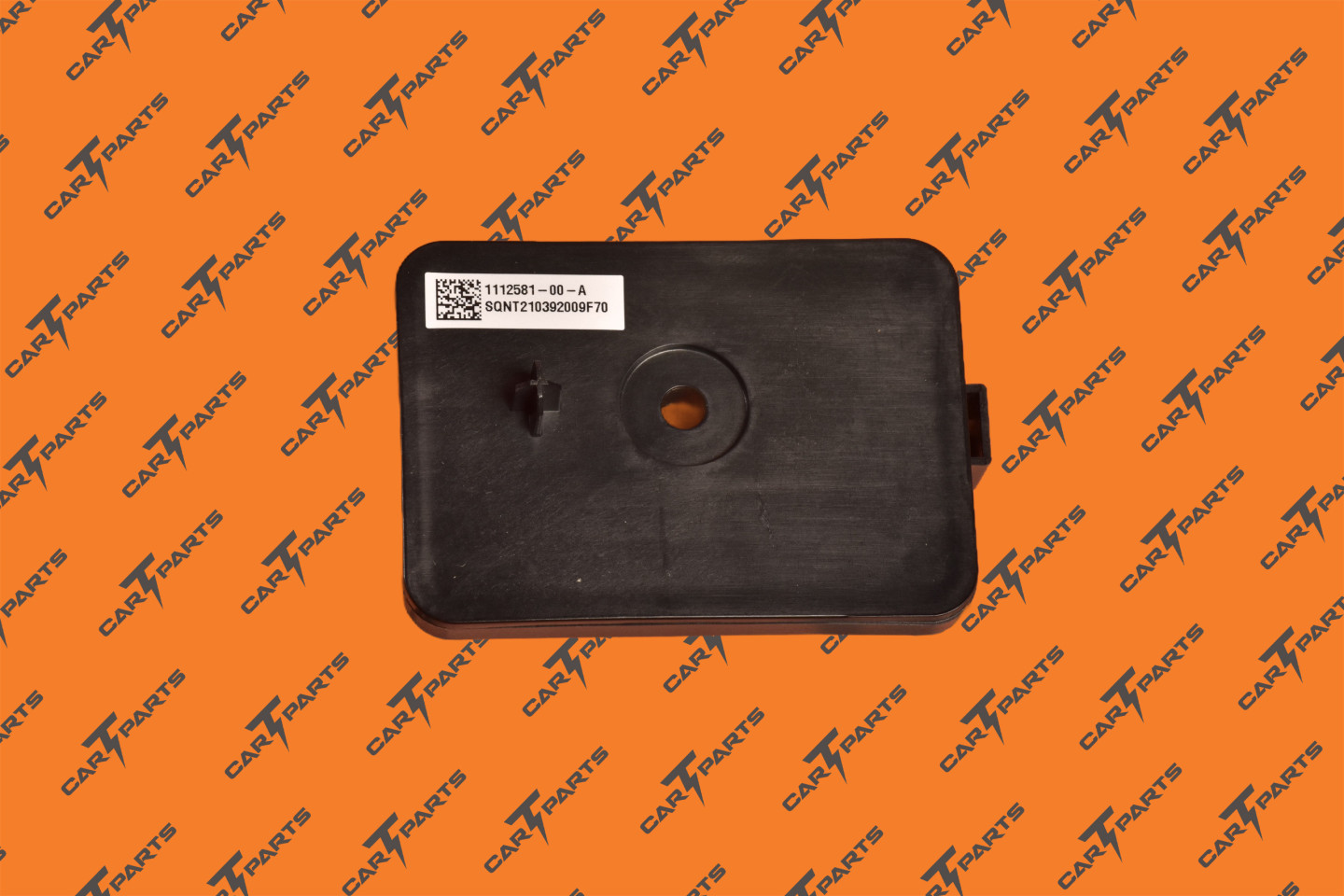 Assembly - Trailer Electronic Control Unit | Tesla Part 1112581-00-A