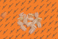 Apron Trim Clip 10X2.5 | Tesla Part 1092696-00-B