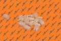 Apron Trim Clip 10X2.5 | Tesla Part 1092696-00-B