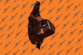 Brkt, Fascia Side To Fdr Right Hand, Ms | Запчасть Tesla 1588936-00-E