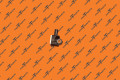 Mx D-Pillar Accelerometer | Tesla Part 1060058-00-A