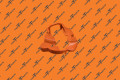 Asy,Cover,Bolts,Inlet,Ev Inlet,Eu | Запчасть Tesla 1025587-10-A