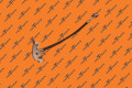Hose Assembly - Rear Brake Right Hand | Запчасть Tesla 1188732-00-D