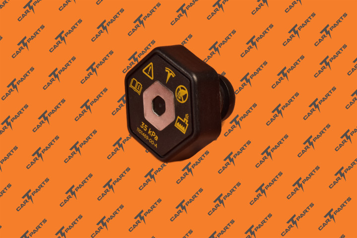 Pressure Cap, Superbottle | Запчасть Tesla 1101469-00-A