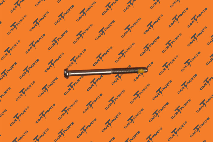 Scr,M6-1X75,6-Lobe Ph,Stl,Zn-Ni,Patch | Tesla Part 1004374-00-B