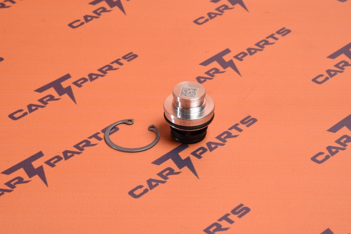 Service Kit - Supermanifold Check Valve - Heat Pump | Repuesto Tesla 1603602-00-A