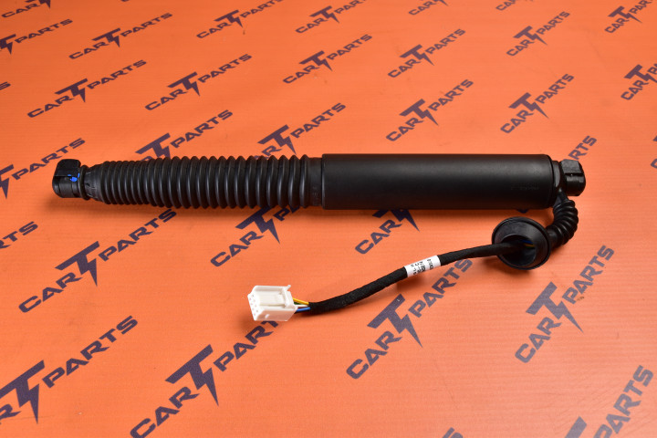 1551488-00-C 1551488-98-B Tesla Model 3 M3 LH Power Strut - Mecanismos de Asistencia de Cierre y Bisagras, Bisagras y Herrajes d