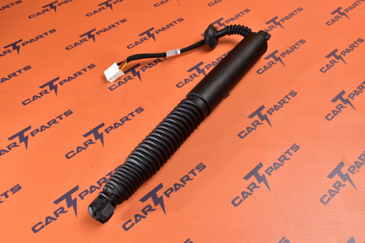 1551488-00-C 1551488-98-B Tesla Model 3 M3 LH Power Strut - Mecanismos de Asistencia de Cierre y Bisagras, Bisagras y Herrajes d