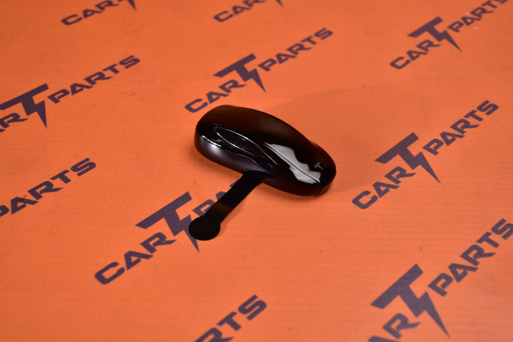 KEY FOB MODEL X