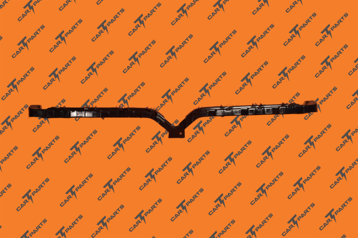 Mx Center Fascia Bckt | Tesla Part 1055069-00-E