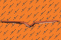 Mx Front Upper Grille Bright Trim | Tesla Part 1047022-00-D